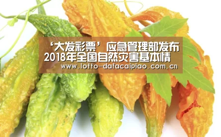 大发彩票网
