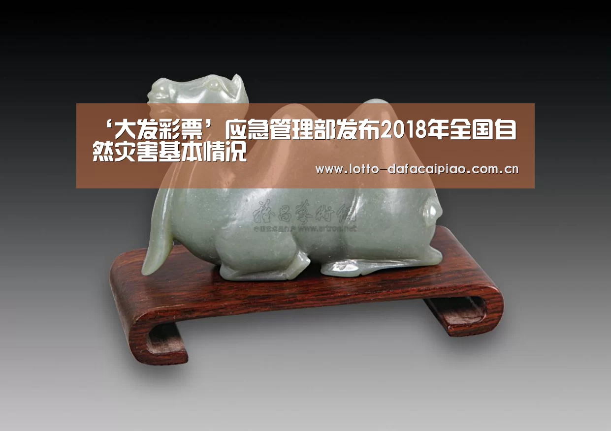 ‘大发彩票’应急管理部发布2018年全国